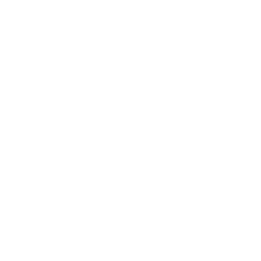 Professional Services